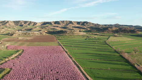 Paisaje-Agrícola-Rural-Durante-La-Temporada-De-Floración-De-Primavera-Montañas